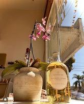 liquid laundry | unscented | boston 32oz