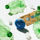 NOTICE HAIR // The Healer // Limited Release // Shampoo