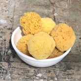 natural sea sponge