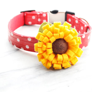 dog collar sunflower