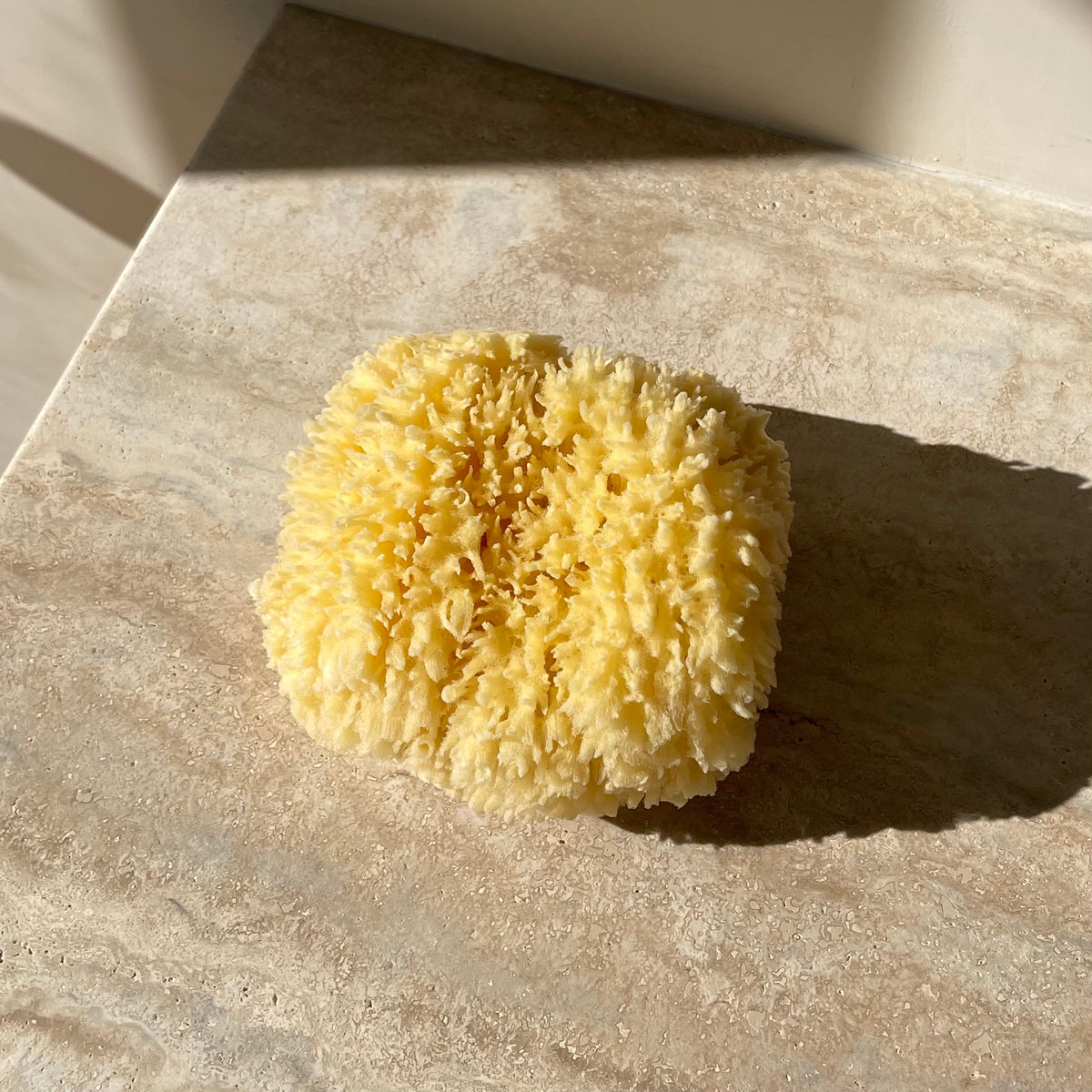 natural sea sponge