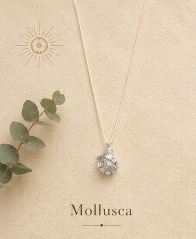 Mollusca Sterling Silver Shell Necklace