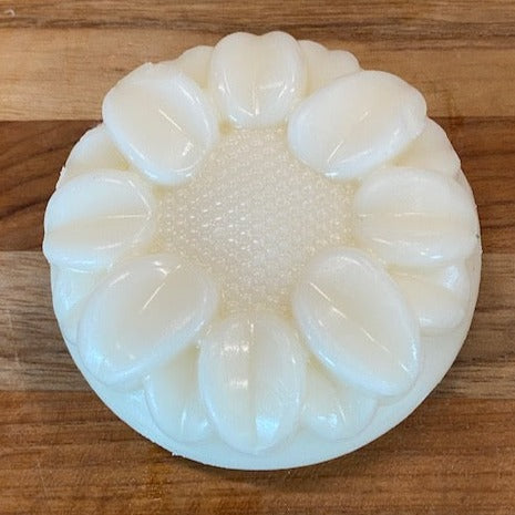 lotion bar with case